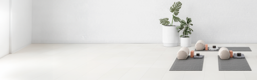 a-white-minimalistic-fitness-studio-with-potted-p-2023-11-27-05-06-57-utc